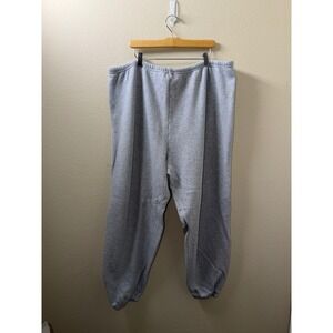 Women's SKIMS Grey Sweats Size 3X